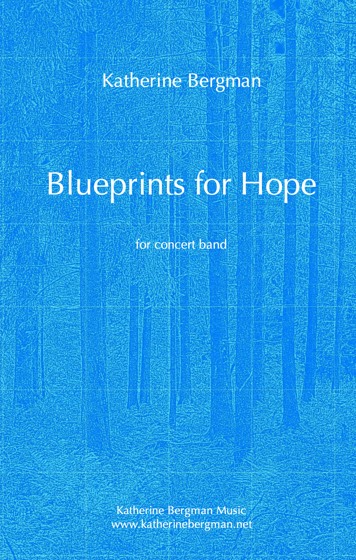 Blueprints For Hope by Katherine Bergman