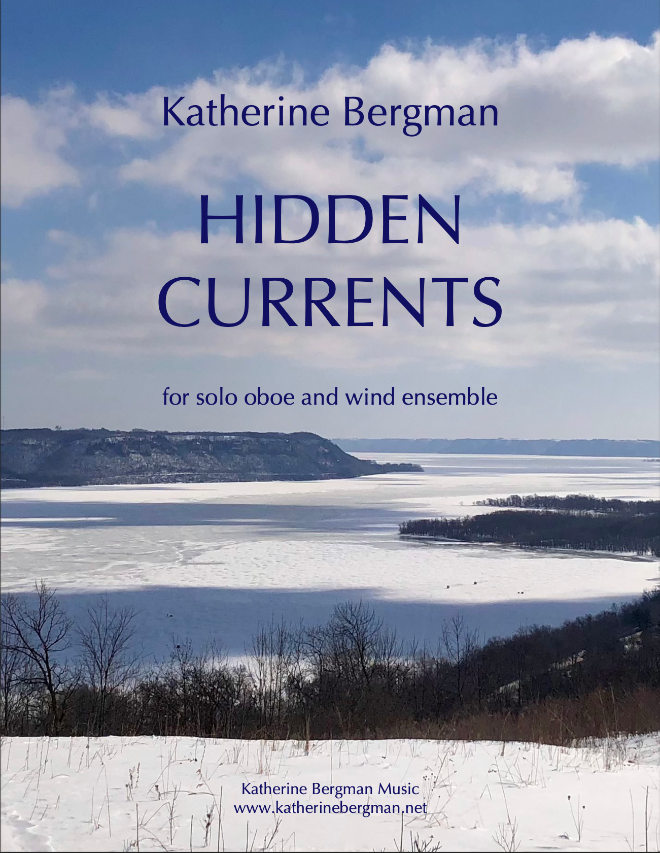 Hidden Currents by Katherine Bergman