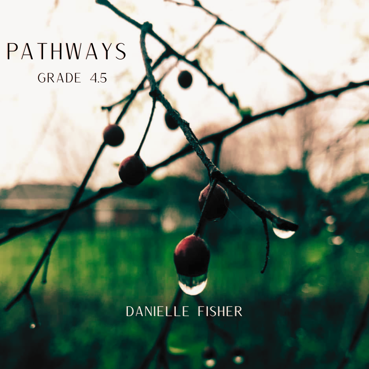 Pathways by Danielle Fisher