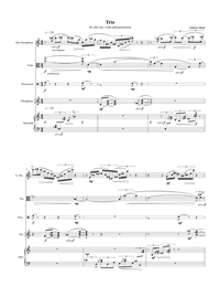 Trio For Alto Saxophone, Viola, And Percussion by Andrew Mead