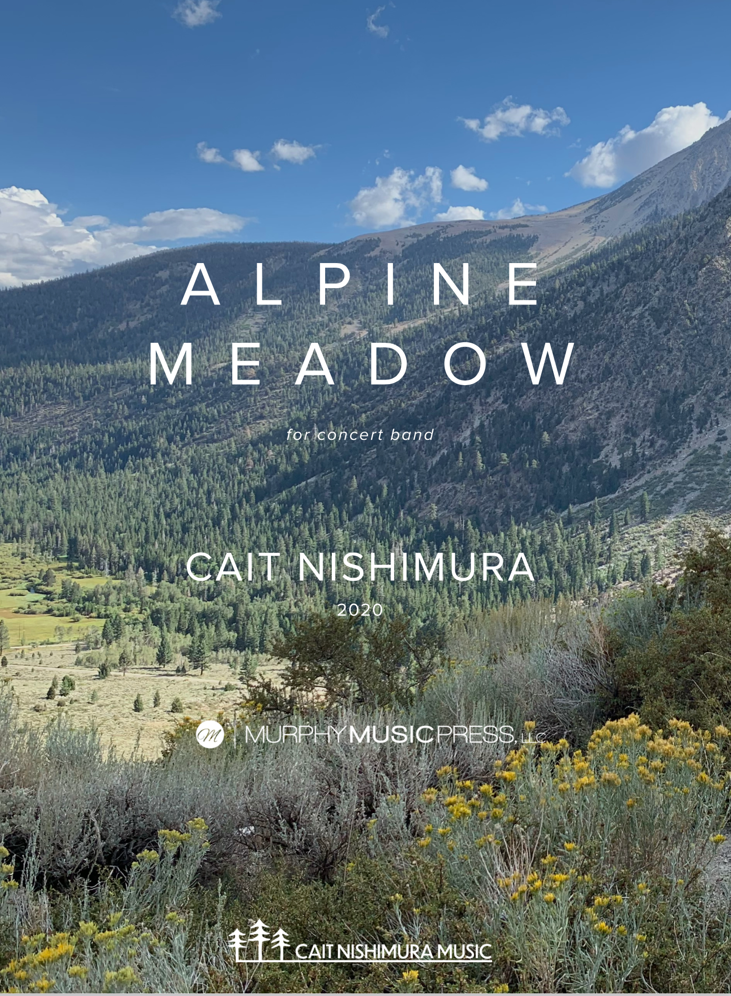Alpine Meadow by Cait Nishimura