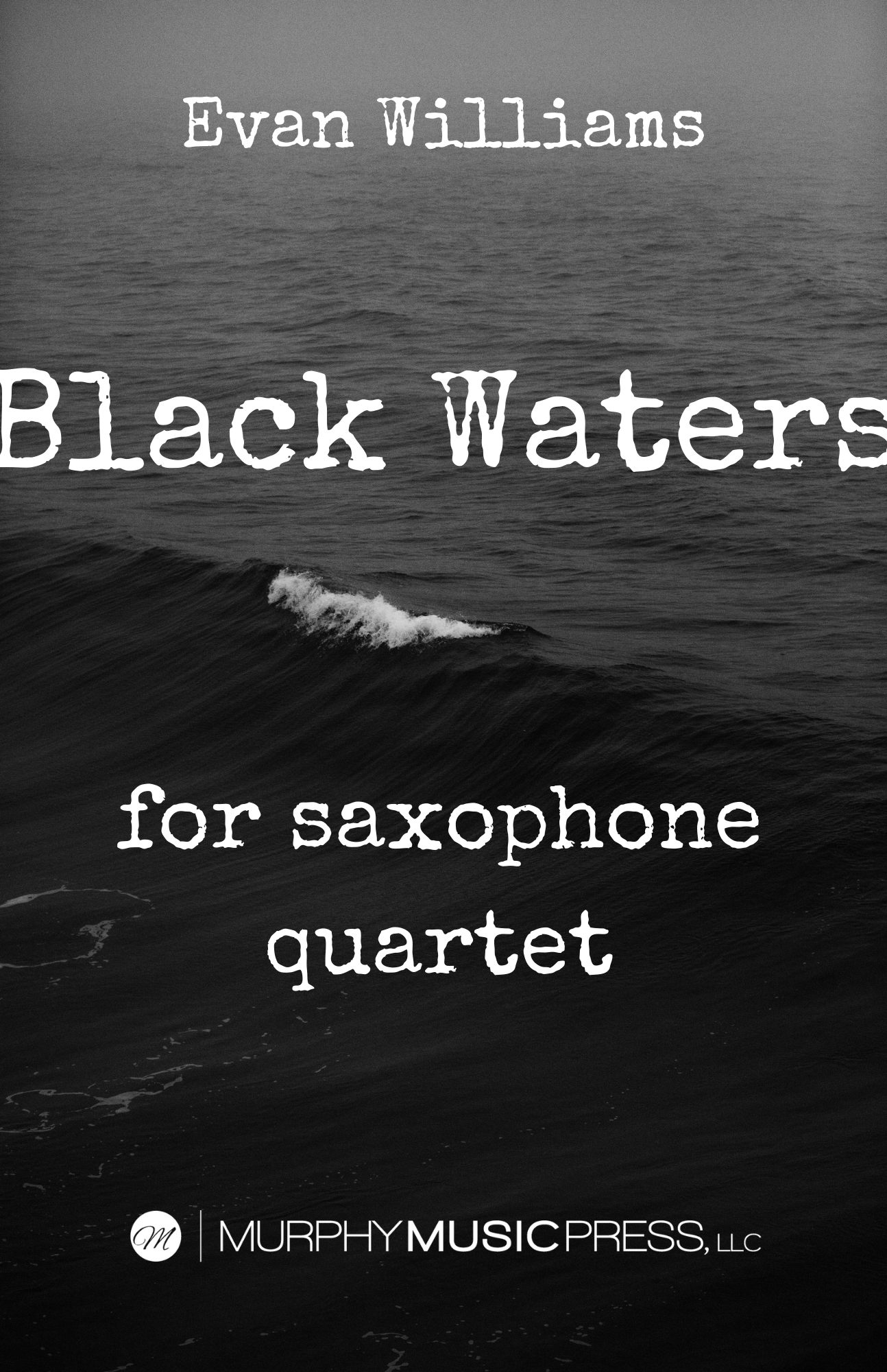 Black Waters by Evan Williams