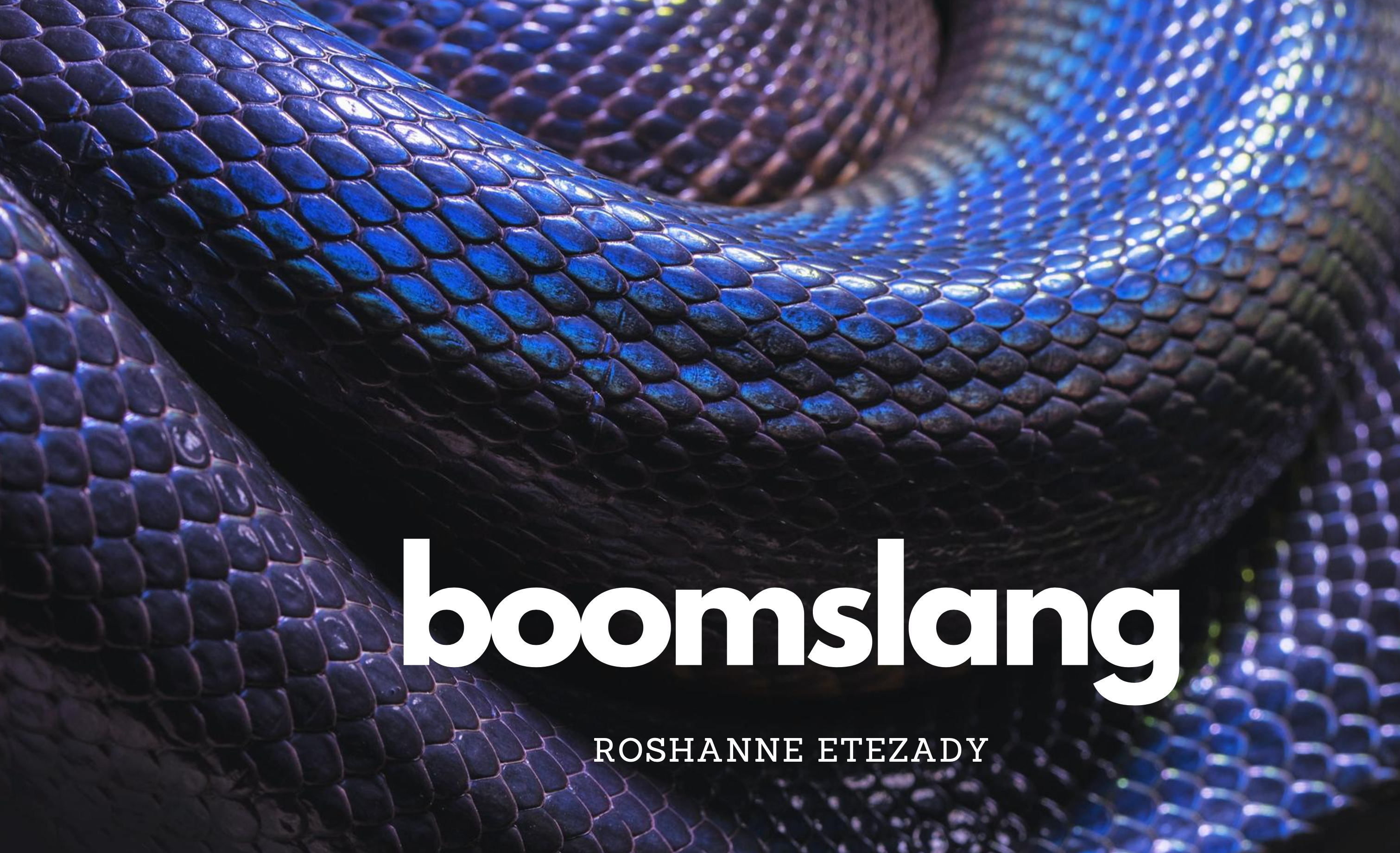 Boomslang by Roshanne Etezady
