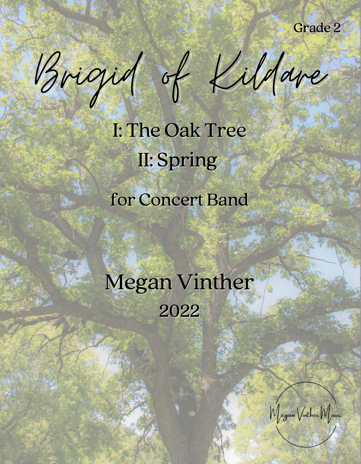 Brigid Of Kildare by Megan Vinther