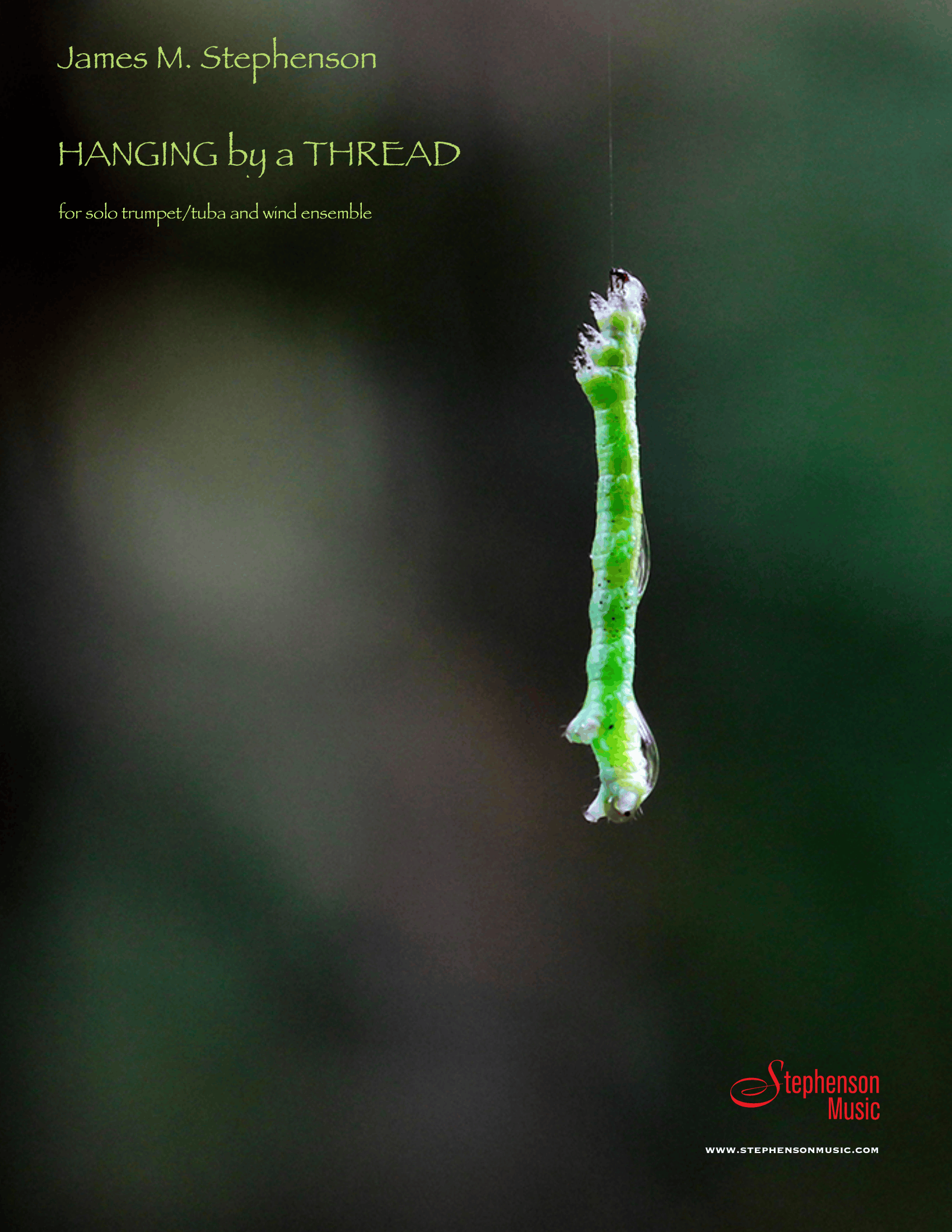 Hanging By A Thread by James Stephenson
