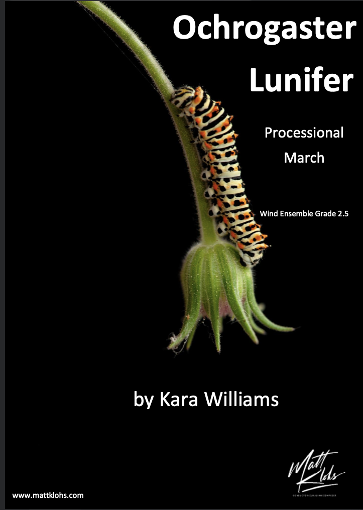 Ochrogaster Lunifer by Kara Williams
