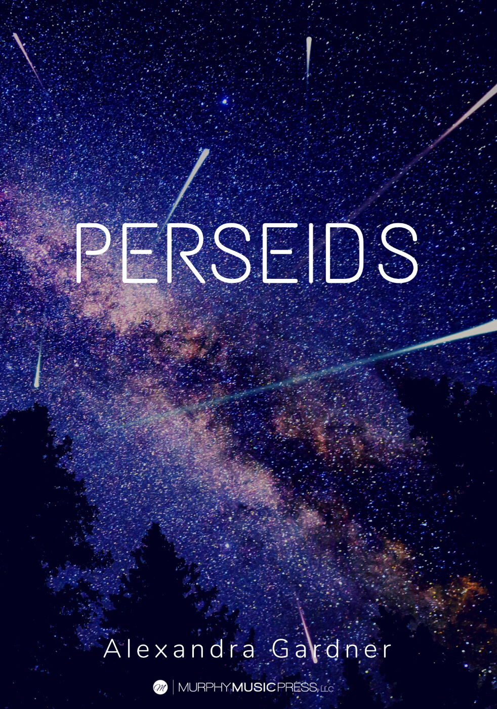 Perseids by Alexandra Gardner