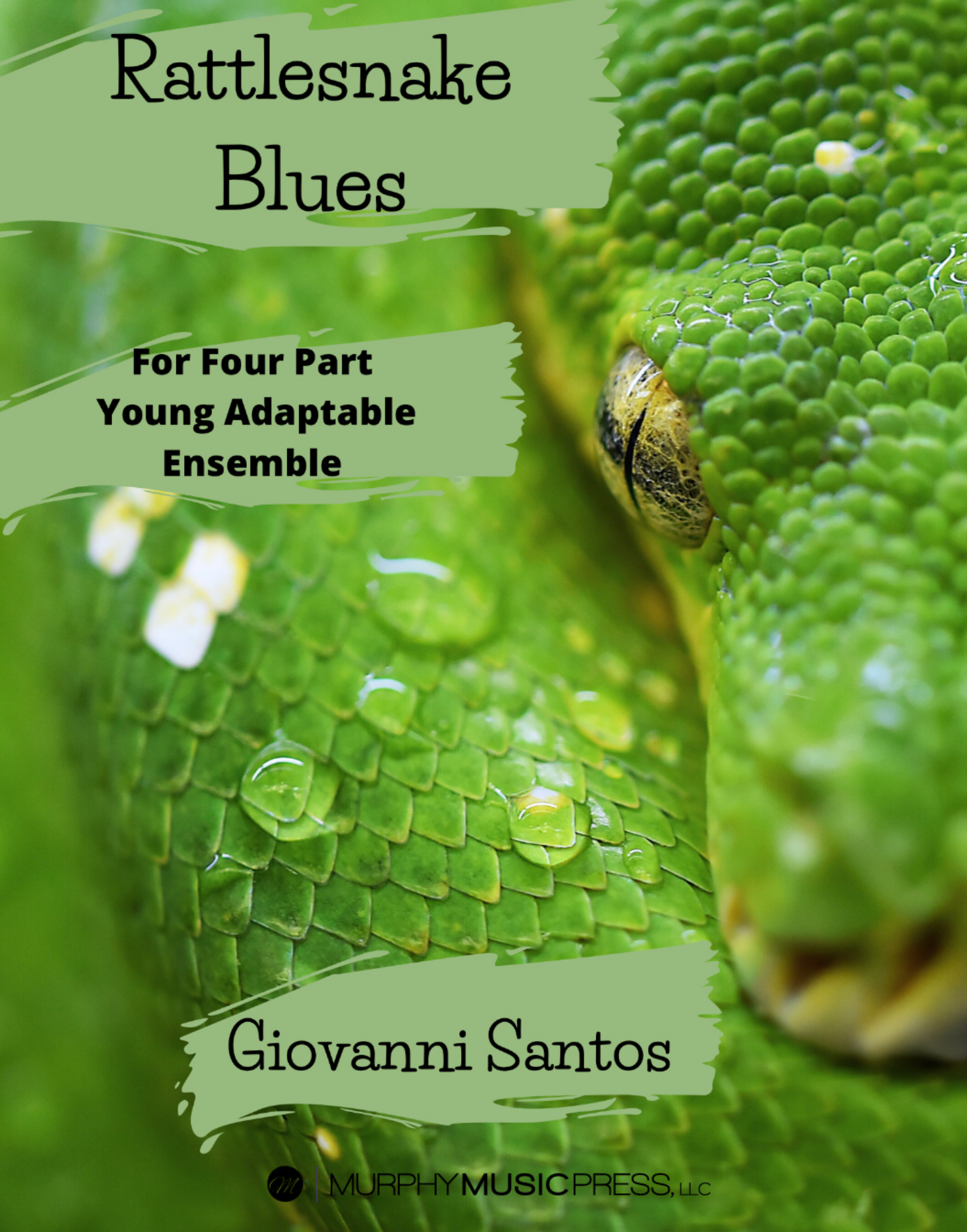 Rattlesnake Blues  by Giovanni Santos