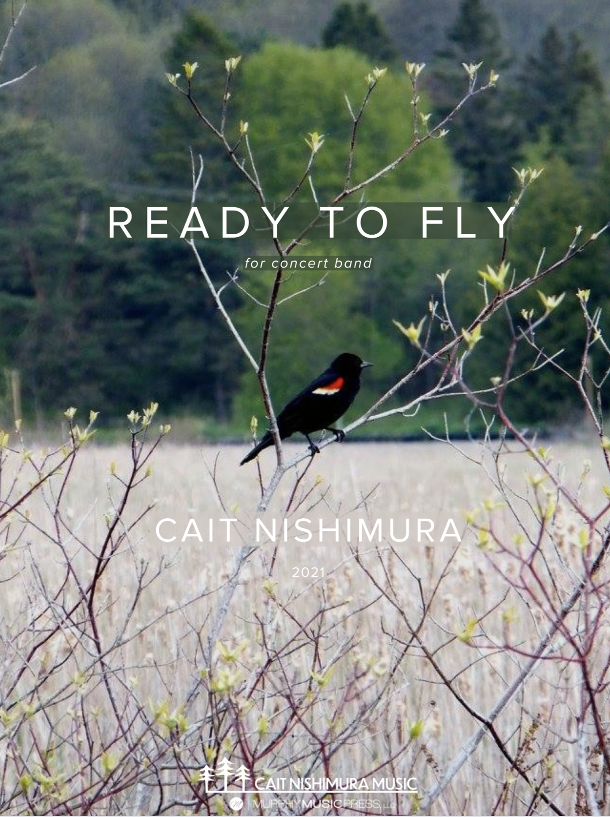 Ready To Fly (score Only) by Cait Nishimura