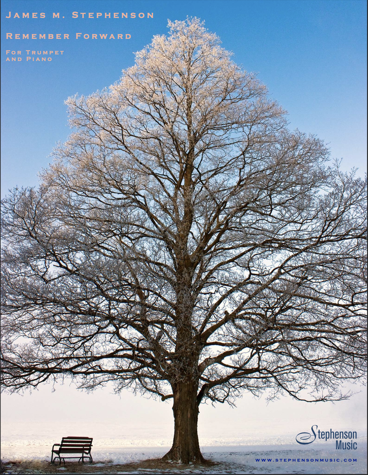 Remember Forward by James Stephenson