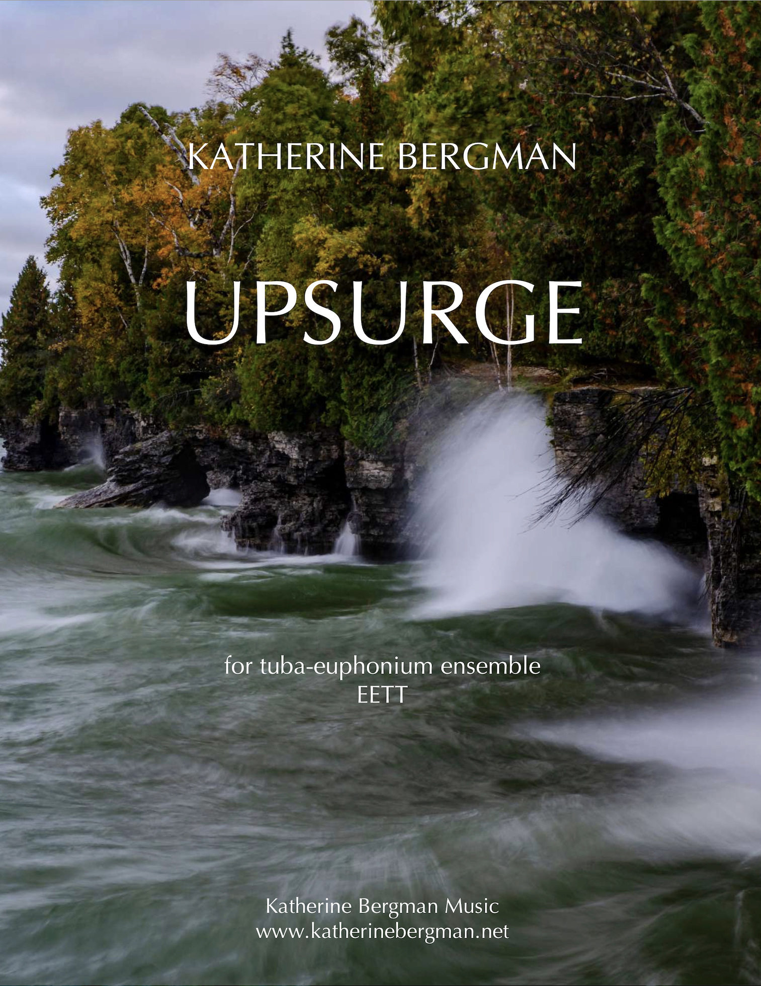 Upsurge by Katherine Bergman